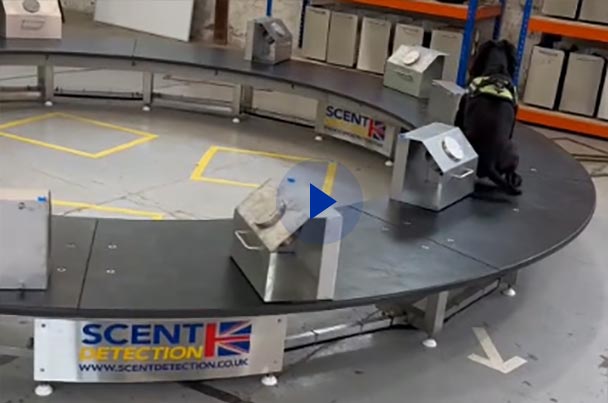Motorised Scent Detection In Action